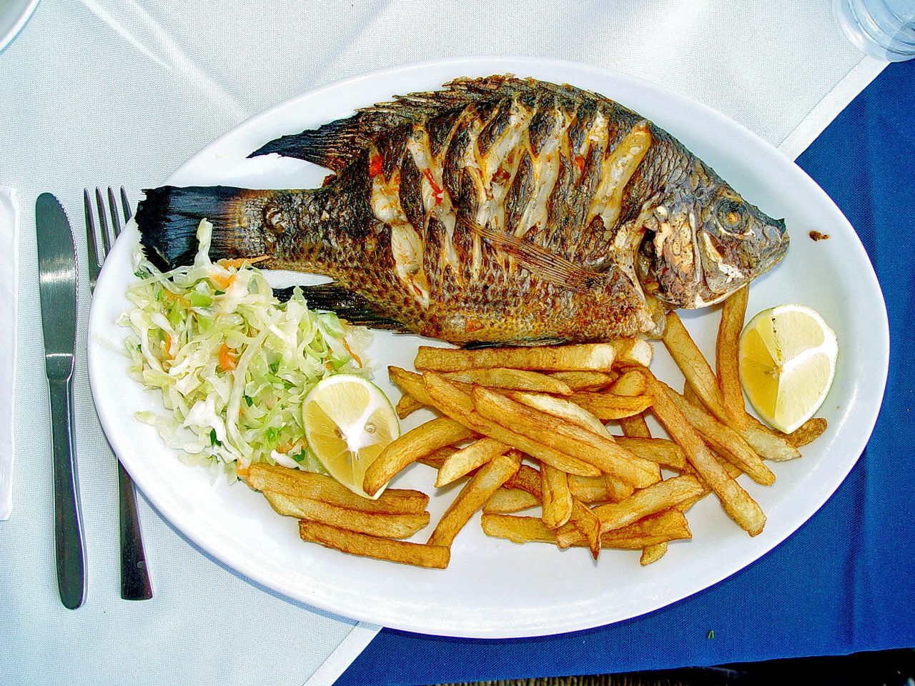 Tilapia Fish